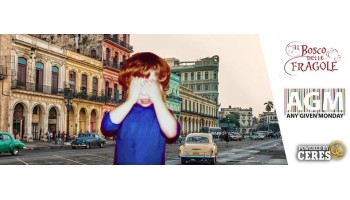 Il Bosco delle Fragole Roma 24 Agosto 2015