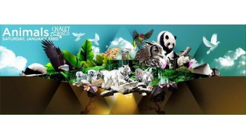 Chalet nel Bosco Roma 23 Gennaio 2016