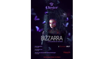 Cluster 1 Dicembre 2017