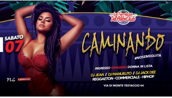 Alibi 7 Settembre 2019