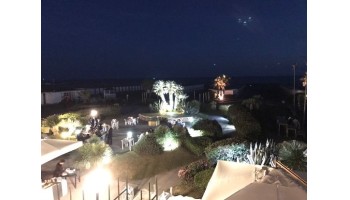 Oasi ostia 14 Agosto 2021