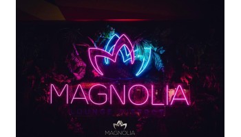 Magnolia Roma 25 Luglio 2024