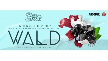 Il Bosco delle Fragole Roma 10 Luglio 2015
