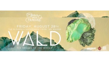 Il Bosco delle Fragole Roma 28 Agosto 2015