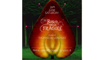 Il Bosco delle Fragole Roma 29 Giugno 2013