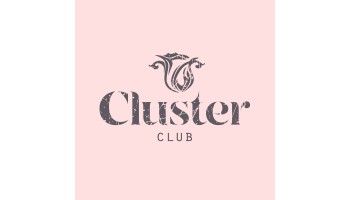 Cluster 11 Novembre 2017