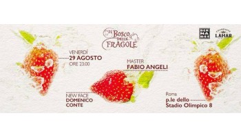 Il Bosco delle Fragole Roma 29 Agosto 2014