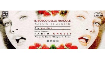 Il Bosco delle Fragole Roma 23 Agosto 2014