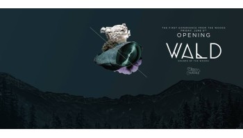 Il Bosco delle Fragole Roma 5 Giugno 2015