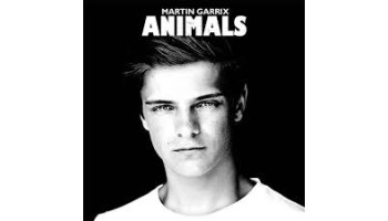 Martin Garrix Roma 2014 17 Maggio 2014