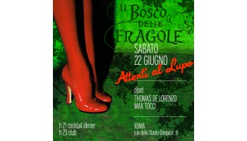 Il Bosco delle Fragole Roma 22 Giugno 2013