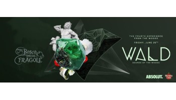 Il Bosco delle Fragole Roma 26 Giugno 2015