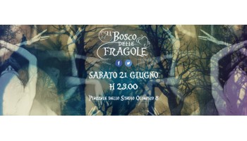 Il Bosco delle Fragole Roma 21 Giugno 2014
